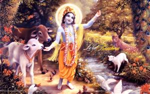 Lord Krishna